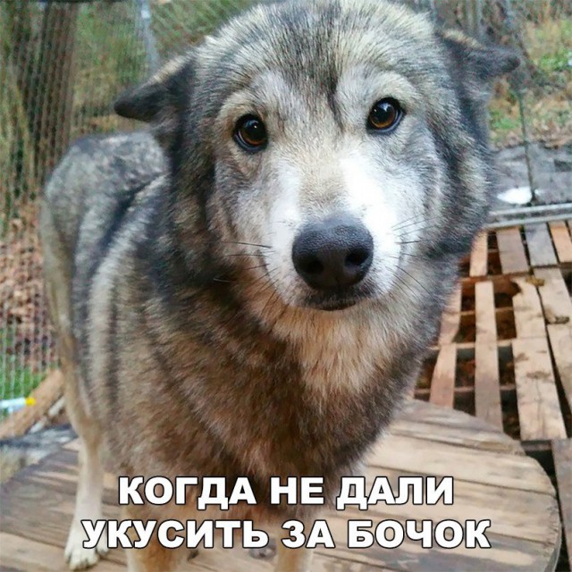 А вот и деградация подоспела. Ура, товарищи!