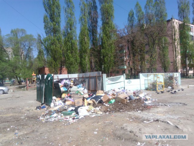 В Воронеже сервисный центр залили фекалиями