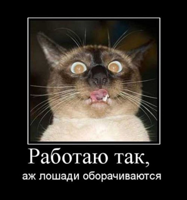 Не все герои носят плащи