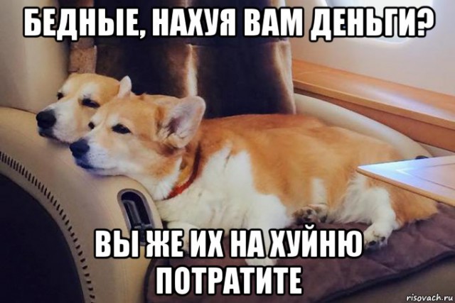 Психология бедности, или Зачем нам "белый слон"