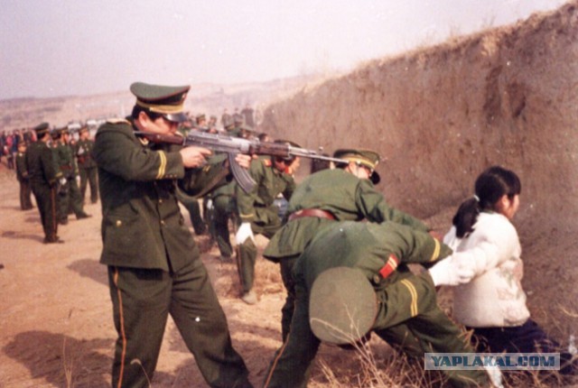 Китай построил свою часть моста через Амур (17 пролетов), Россия — до сих пор нет (3 пролета)