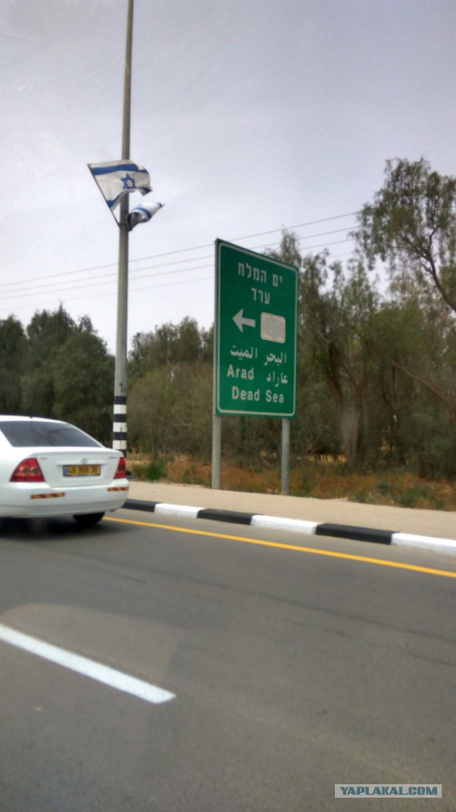 Первая поездка в Израиль