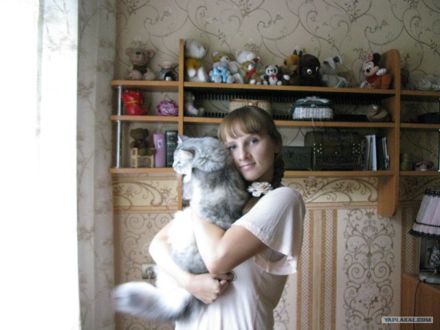 Котовторник  28.08.12