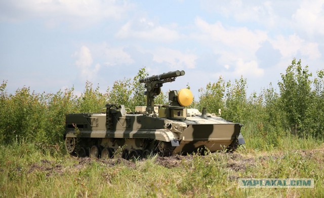 ЯП вокруг света. Германия, Австралия, Китай...