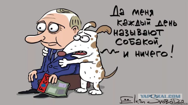 Подборка карикатур Сергея Елкина