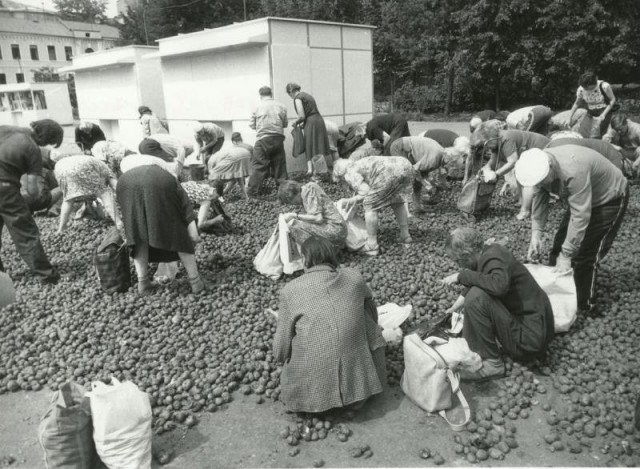 Прошлое в фотографиях