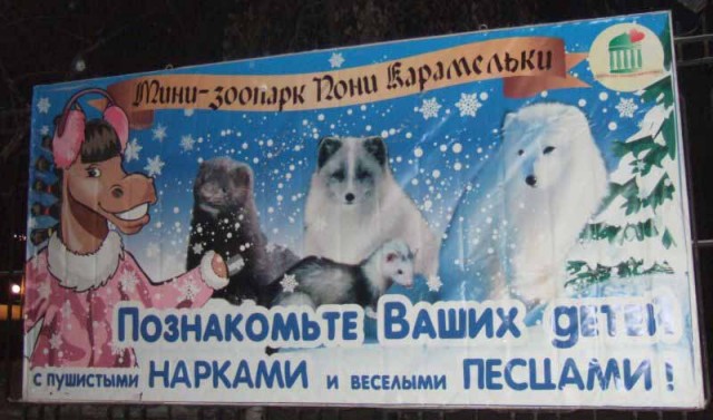 Пушистые Норки и веселые Песцы