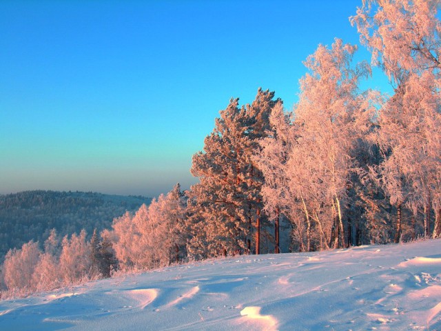 Красивая зимняя тайга