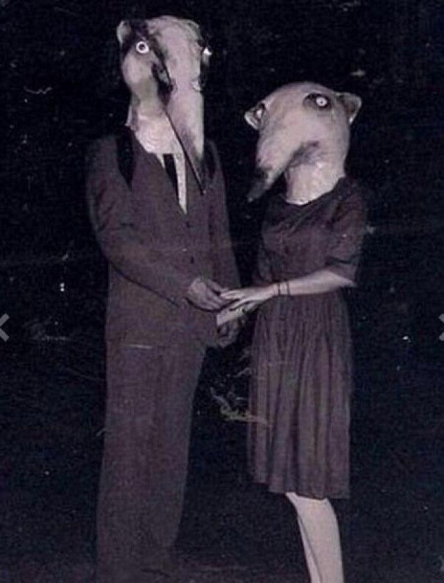 Фотограммы