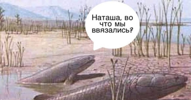 Что это за чудовище?