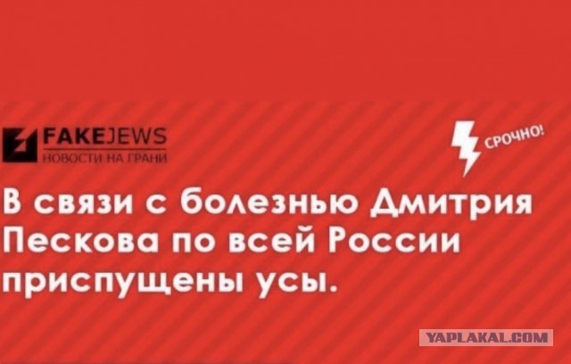 Песков заразился коронавирусом