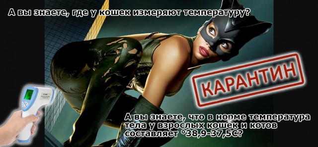 Картинки разные 08.10.2020