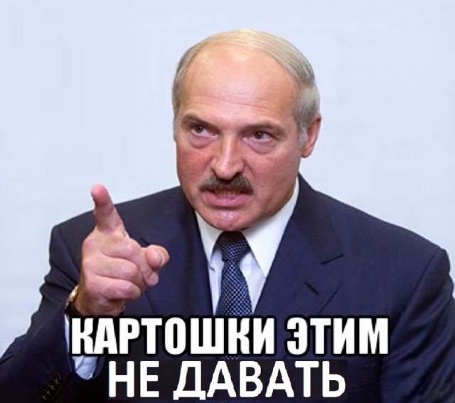 Лукашенко заявил, что не пустит в Беларусь врачей, которые уехали работать в Польшу