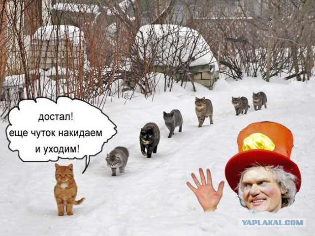 Фотожаба: Вот идет караван