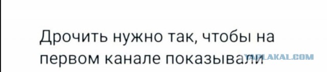 Картинки разнообразные. На злобу дня и на доброту (12.11)