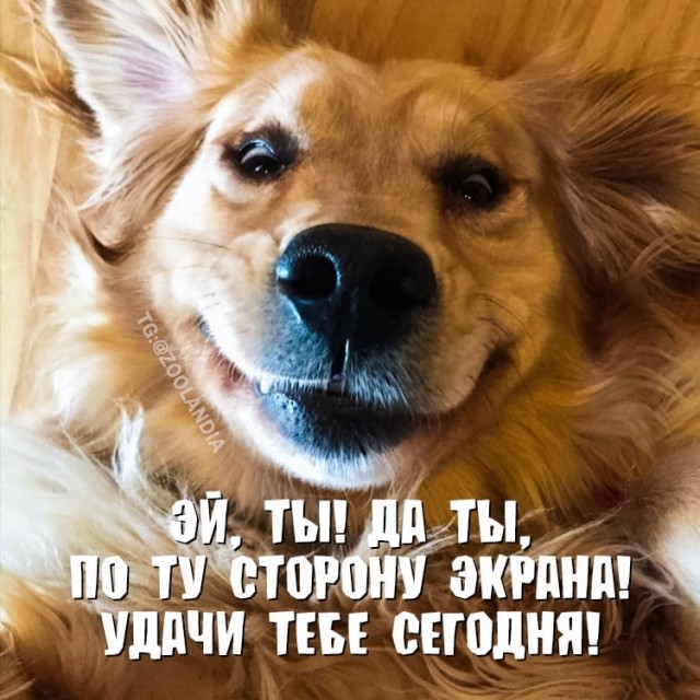 Срочно в номер