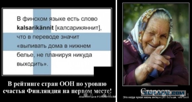 Что  радует мужчину по жизни? После 40