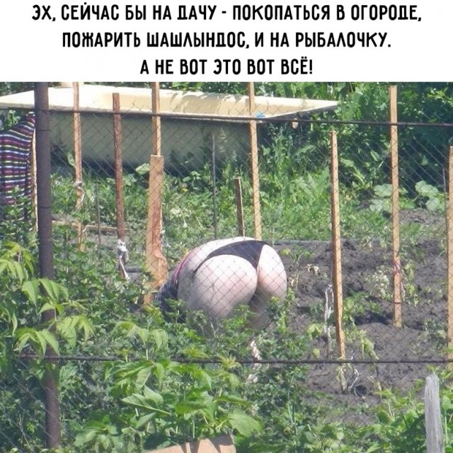 Весёлый полтишок 27.05