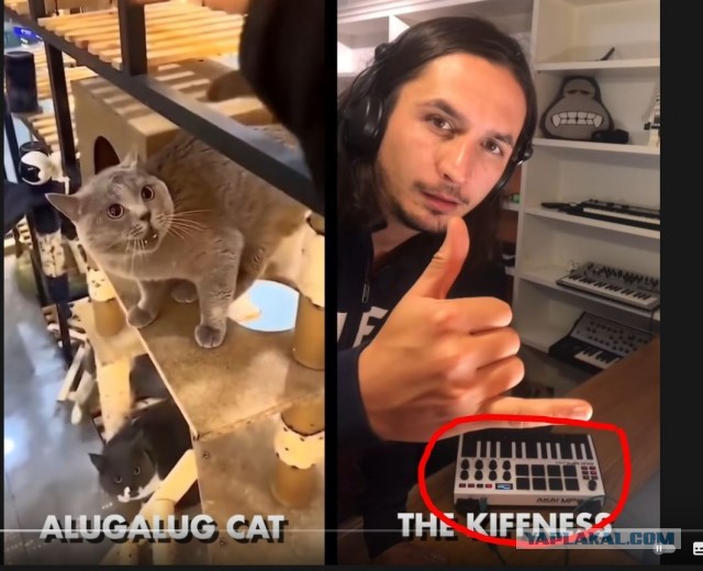 Как махом обанкротили японскую фирму Akai