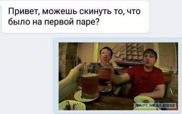 Весёлый полтишок 11.09