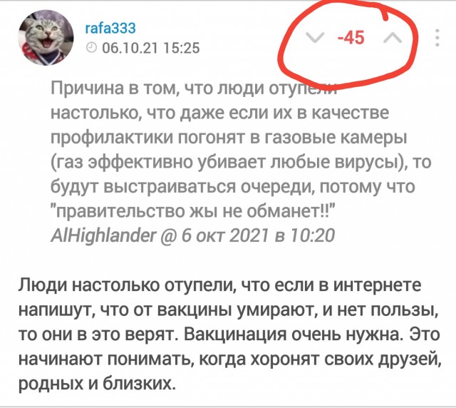 Вот и пришла беда...