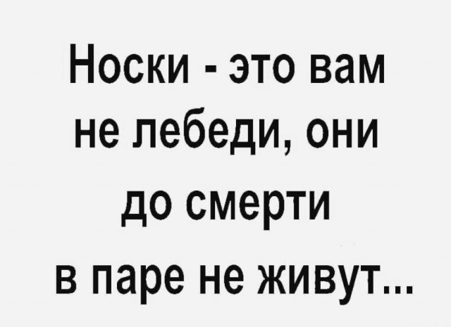 Так себе картинки 28.11.21