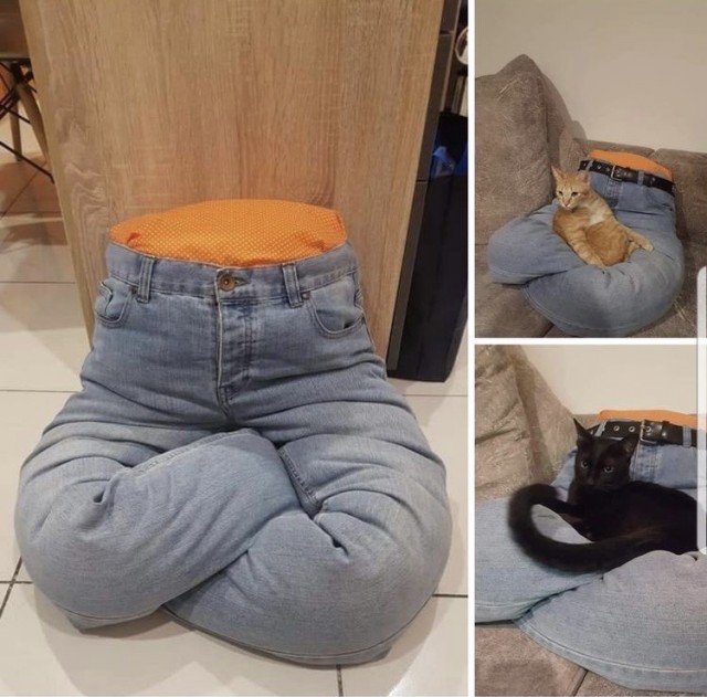 Котовторник так котовторник