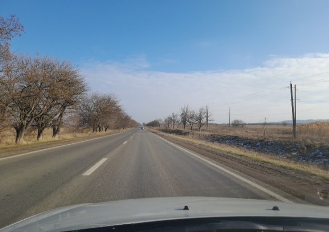 Первое января глазами непьющего человека