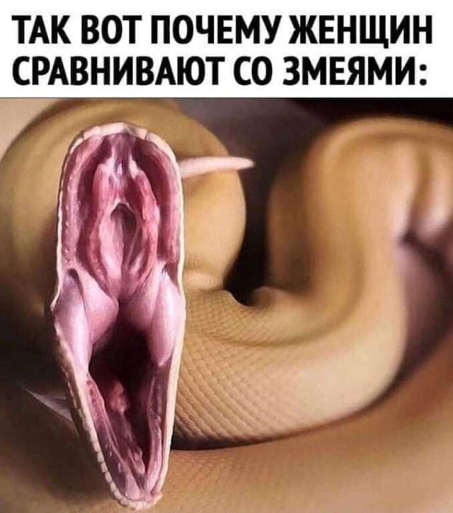 Картинки на 21.01.2022