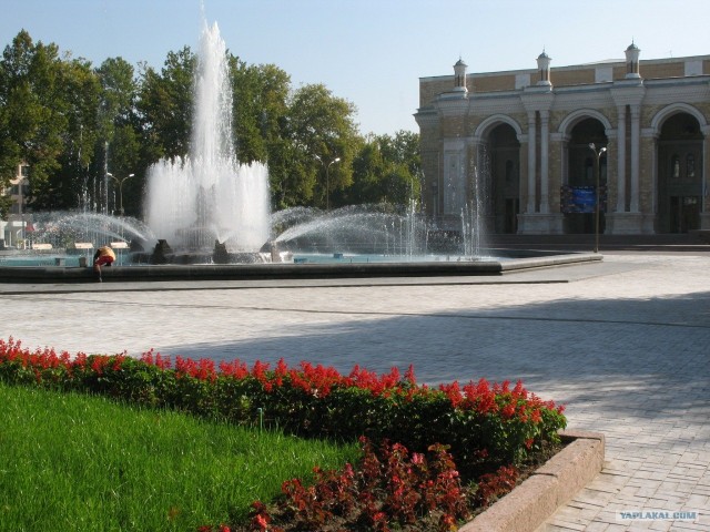 Поездка в Ташкент (Узбекистан)