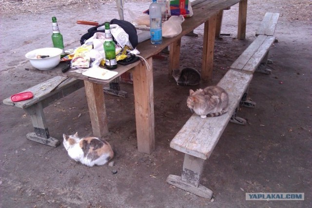 Первая вылазка 1 Апреля