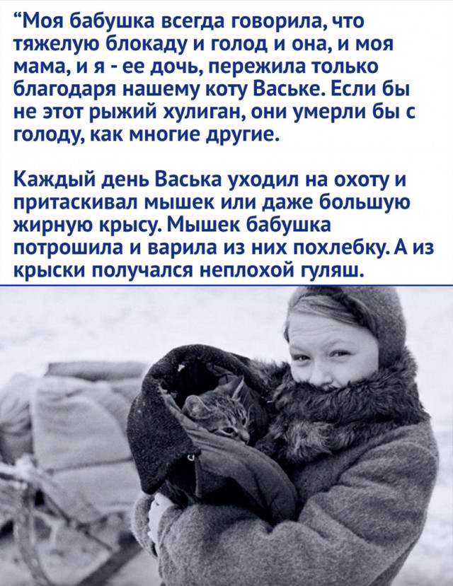 Так себе картинки 10.07.22