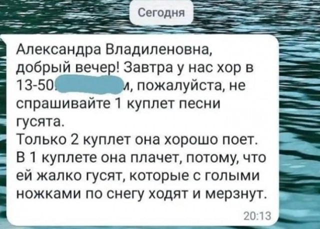 "Нашел его на МКАДЕ, прыгал по бордюру, вот взял, теперь кормлю"