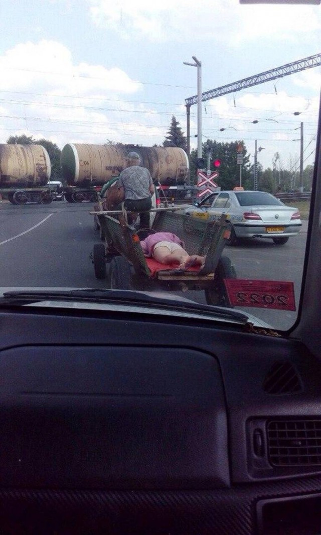 Весёлый полтишок 11.08.22
