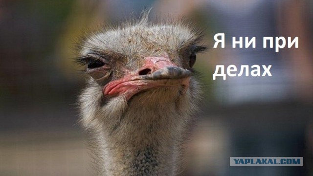 Женщинам на заметку