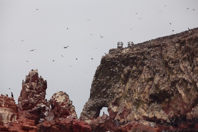Южно-Американский дневник. Перу.
