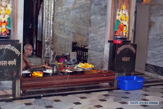 ГоА свои впечатления