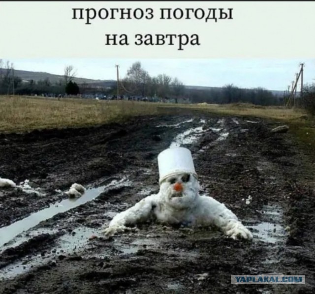 Так себе картинки 22.11.22