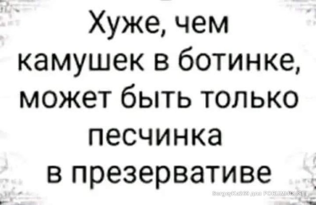 Весёлый полтишок 24.11.22