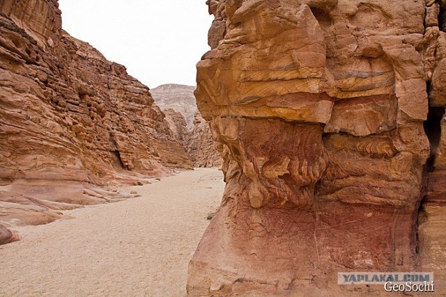 Синайские приключения. Шарм-эш-Шейх и окресности