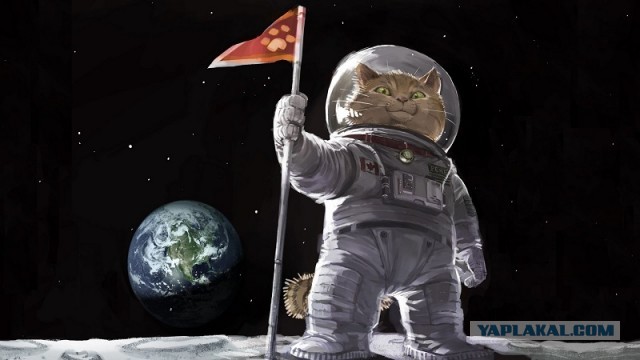Корабль «Орион» приводнился в Тихом океане. Миссия «Артемида-1» завершена