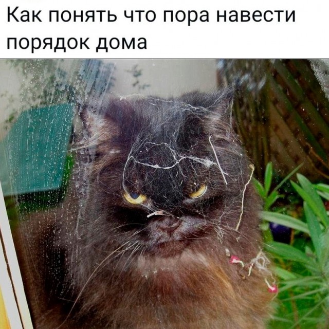 Немного картинок для настроения - 137