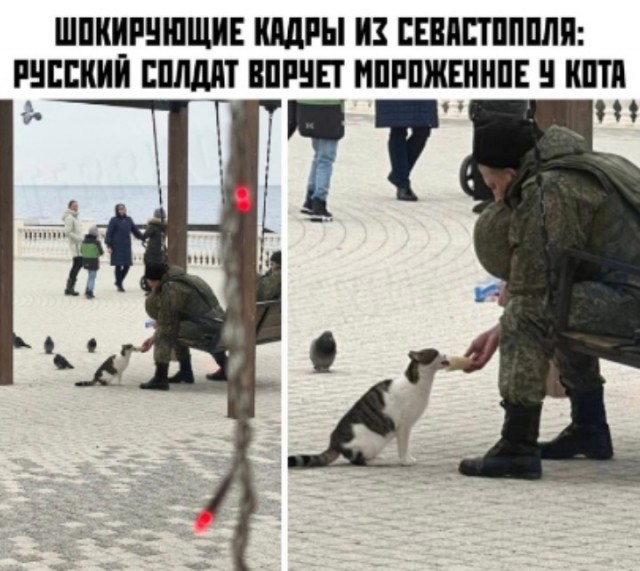Милота