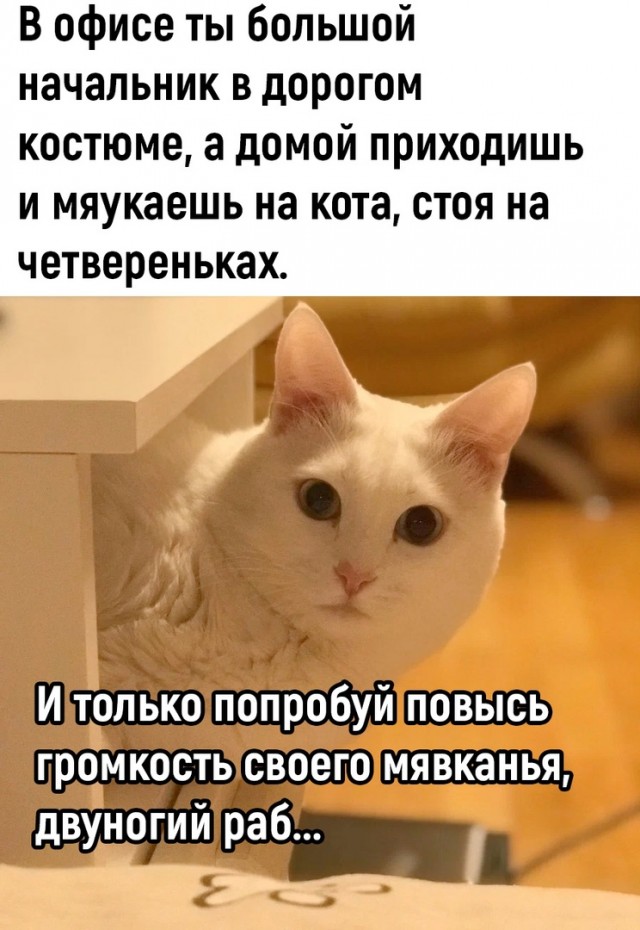 Так себе картинки 15.02.23