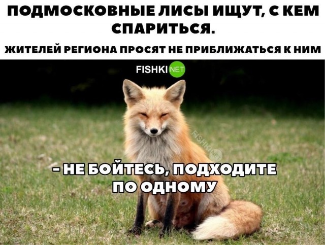 Деревенская Америка - 9