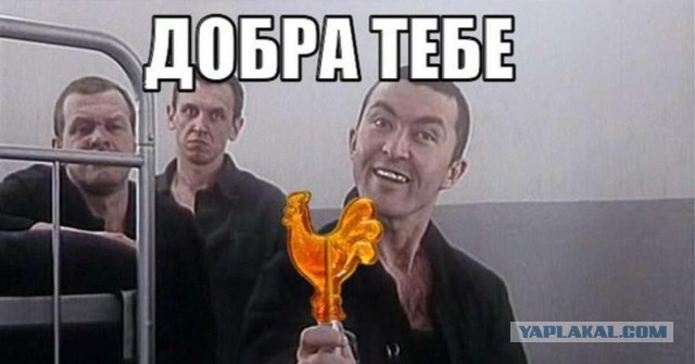Как я чифир завариваю
