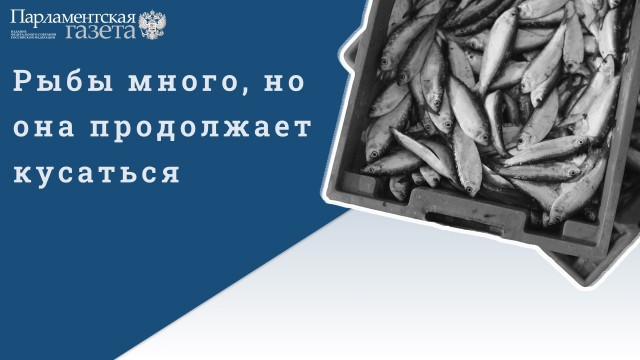 Победная поступь идиотизма по планете – том 12