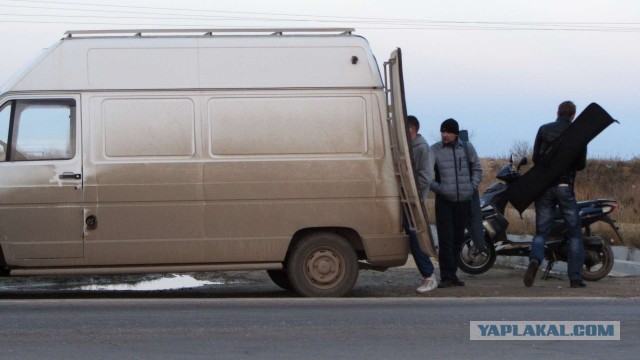 Крым в феврале или "Не стреляйте в белых лебедей!"