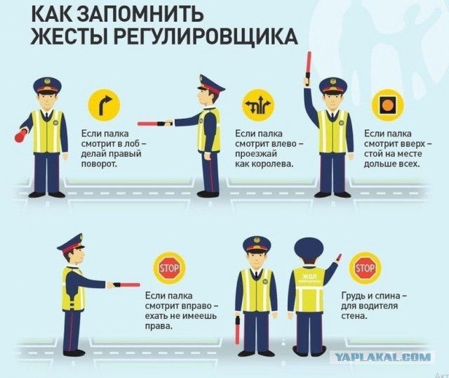 Живой регулировщик! Паника! Паника! Что делать-то?!