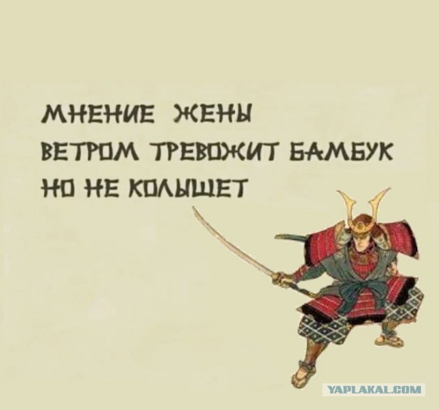 Так себе картинки 30.06.23